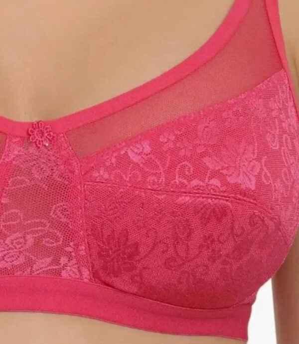 PINK BRA FANCY