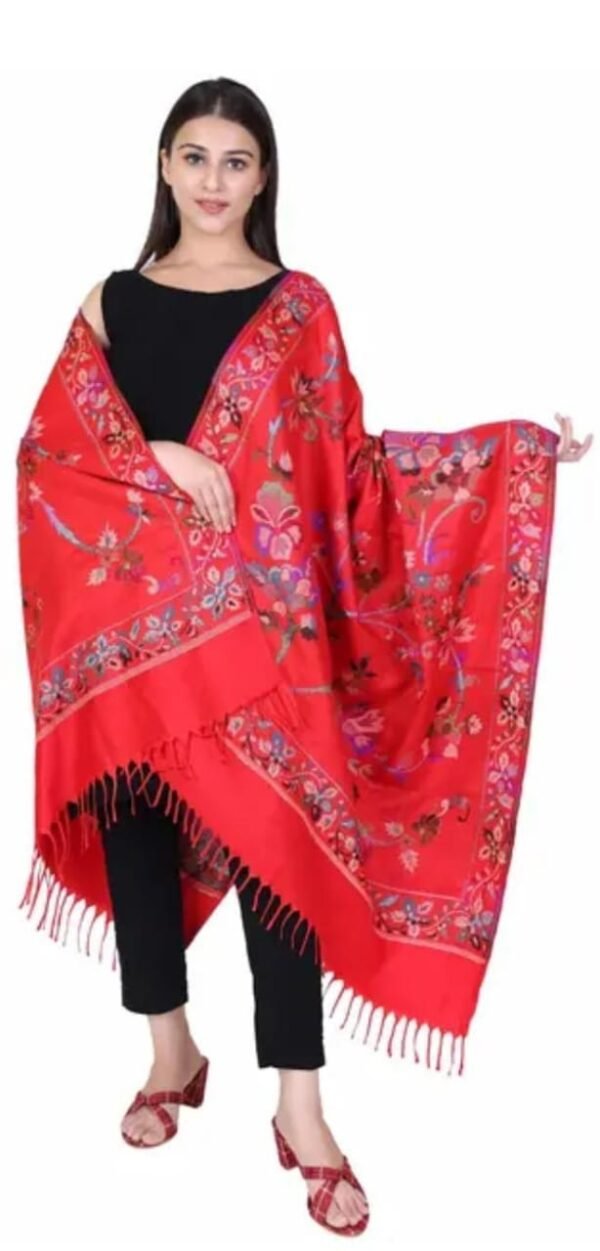 Red Embroidered Wool Shawl FULL LOOK