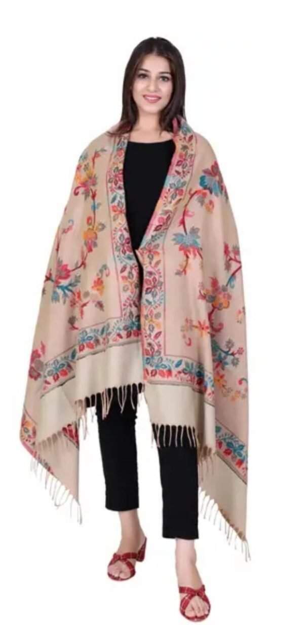 Multicolor Embroidered Wool Shawl other look