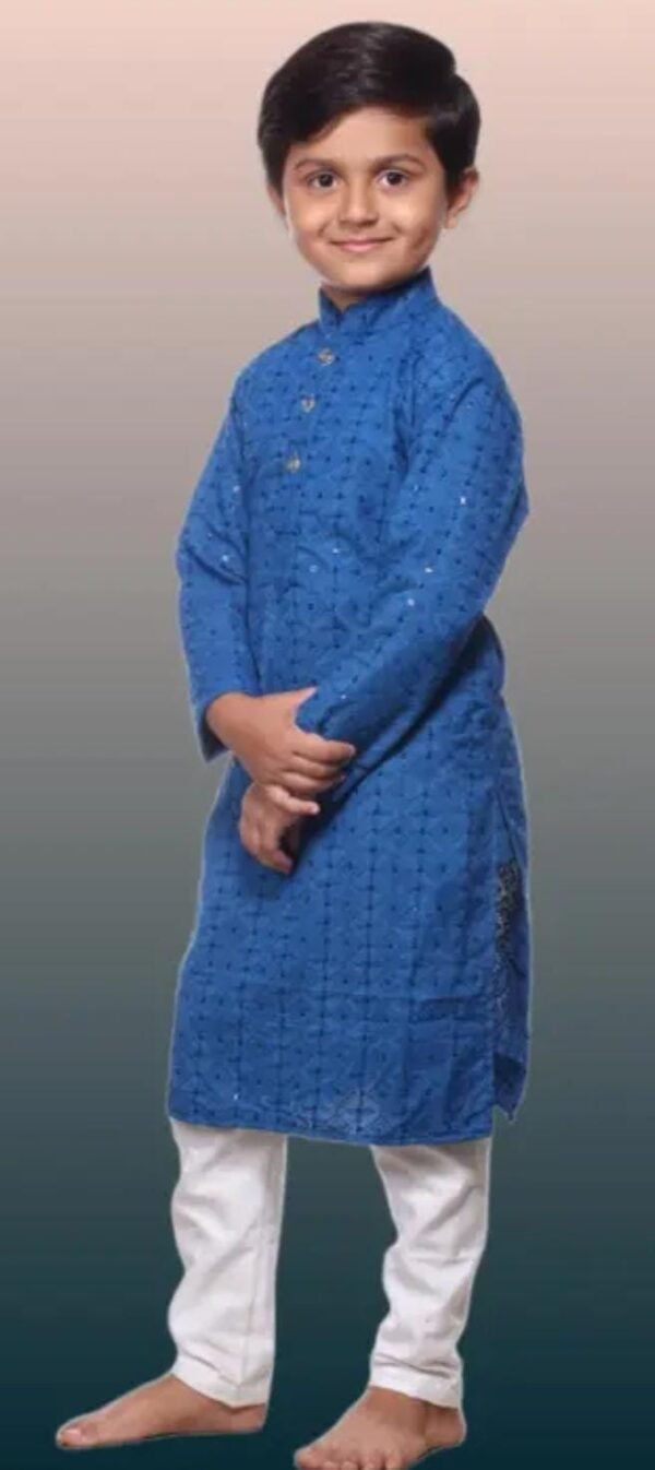 Blue Kurta and Payjama side look front
