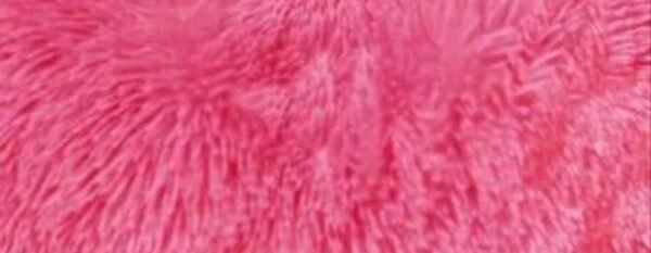 Heart Shape Soft Fur Cushions Pack of 5