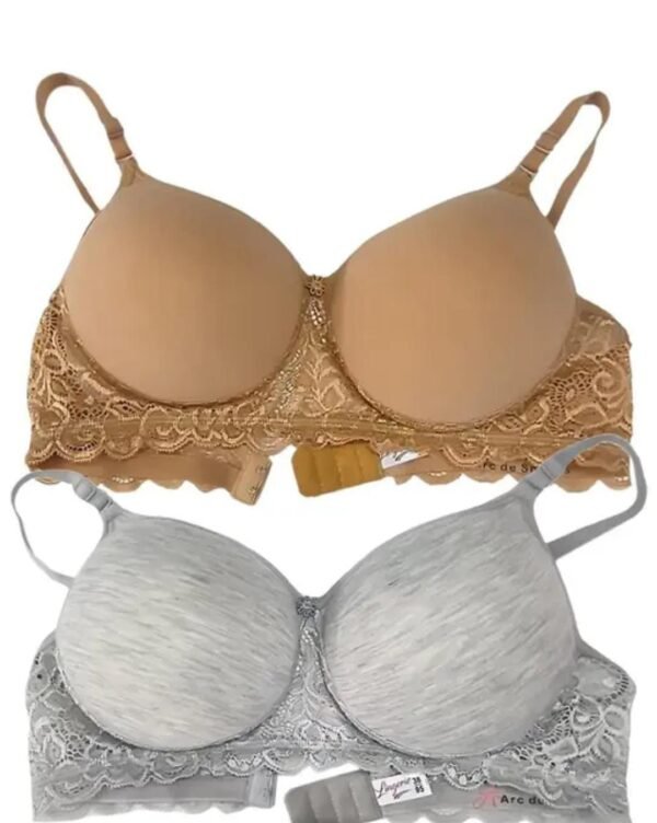 Main image showcasing the Comfortable Daily Wear T-Shirt Bra Pack of 2 in Brown and Grey, crafted from a soft cotton blend with lightly padded cups and seamless construction for everyday comfort.