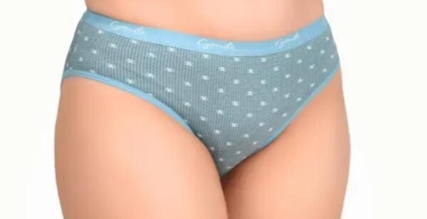 Soft and Comfortable Pack of 3 Women's Cotton Panties - Image 3